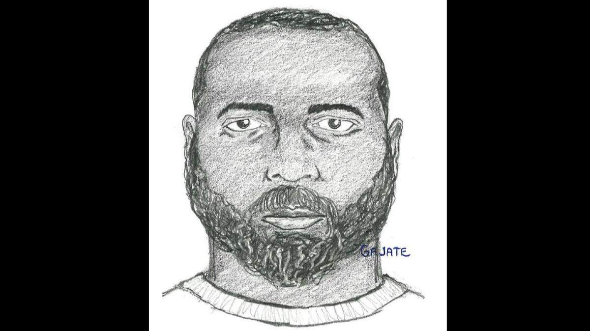 Composite sketch of a suspect in the shooting death of a 35-year-old North Lauderdale woman that also injured her 18-year-old son on March 28, 2016. BSO released the sketch on Jan. 15, 2019.
