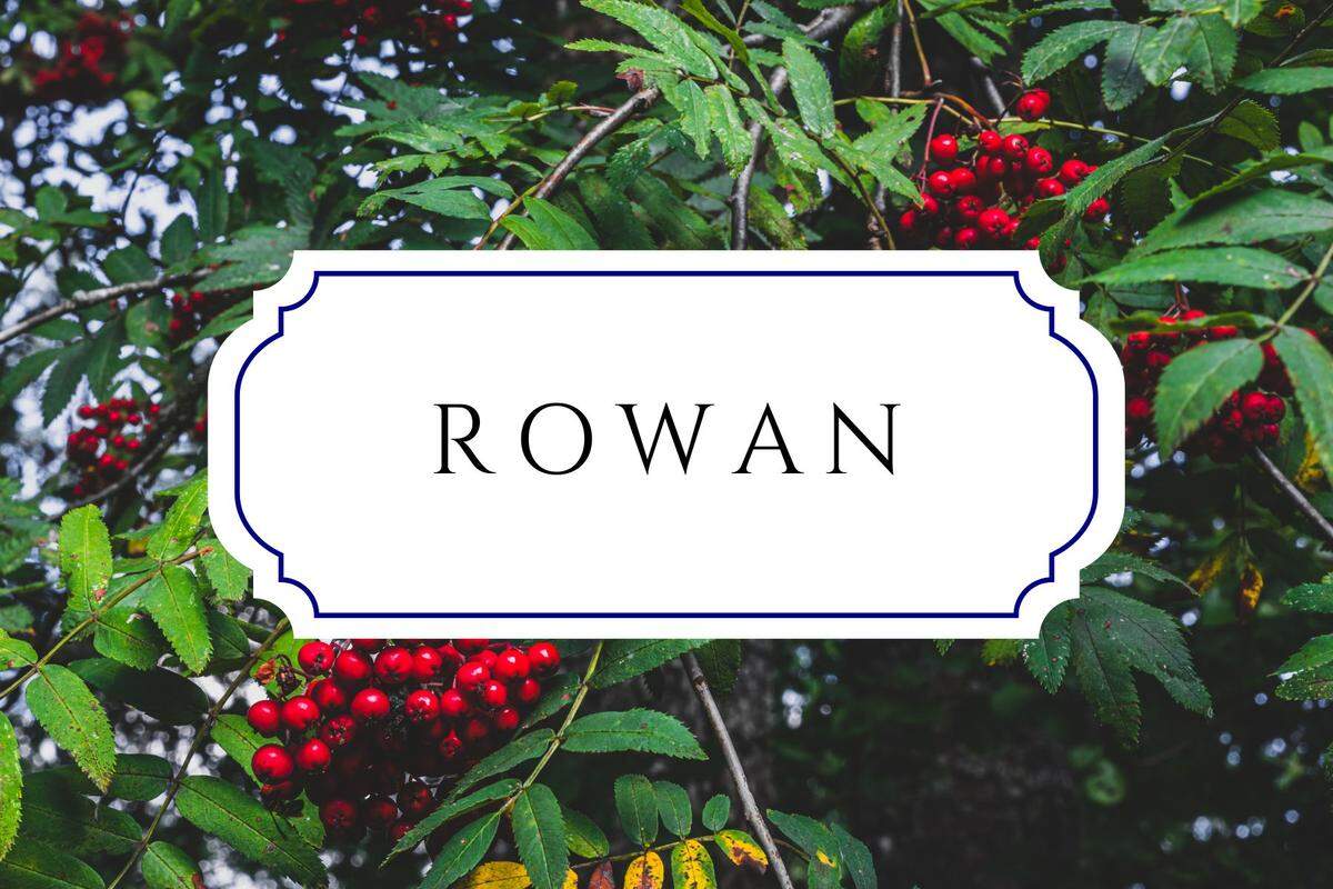 unique nature names rowan