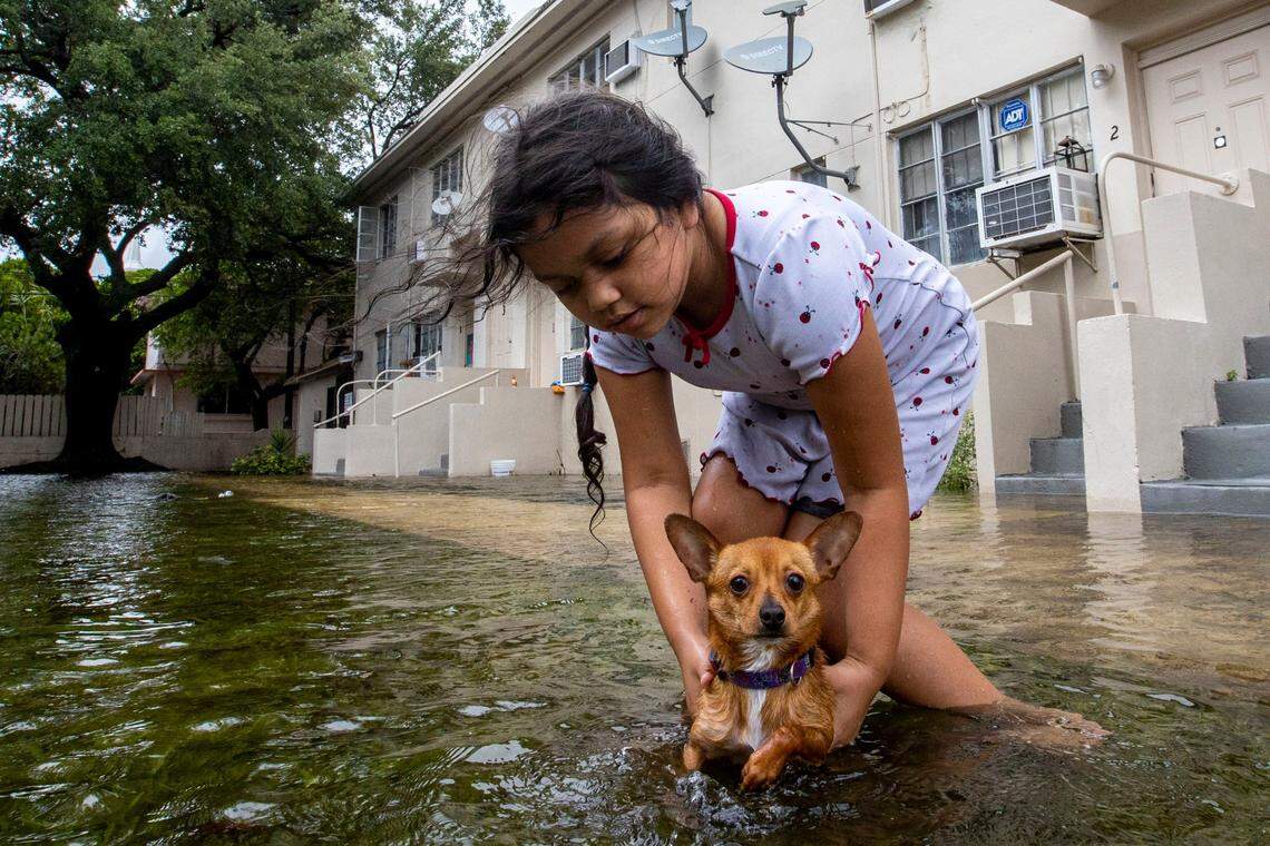 Mileidy Erazo, 6, holds her dog Canelo as he swims in floodwaters near her apartment off Southwest Third Street and Eighth Avenue in Little Havana after a summer flood in 2022.