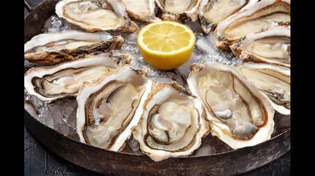 FDA issues advisory about a salmonella outbreak and oysters recalled from Publix