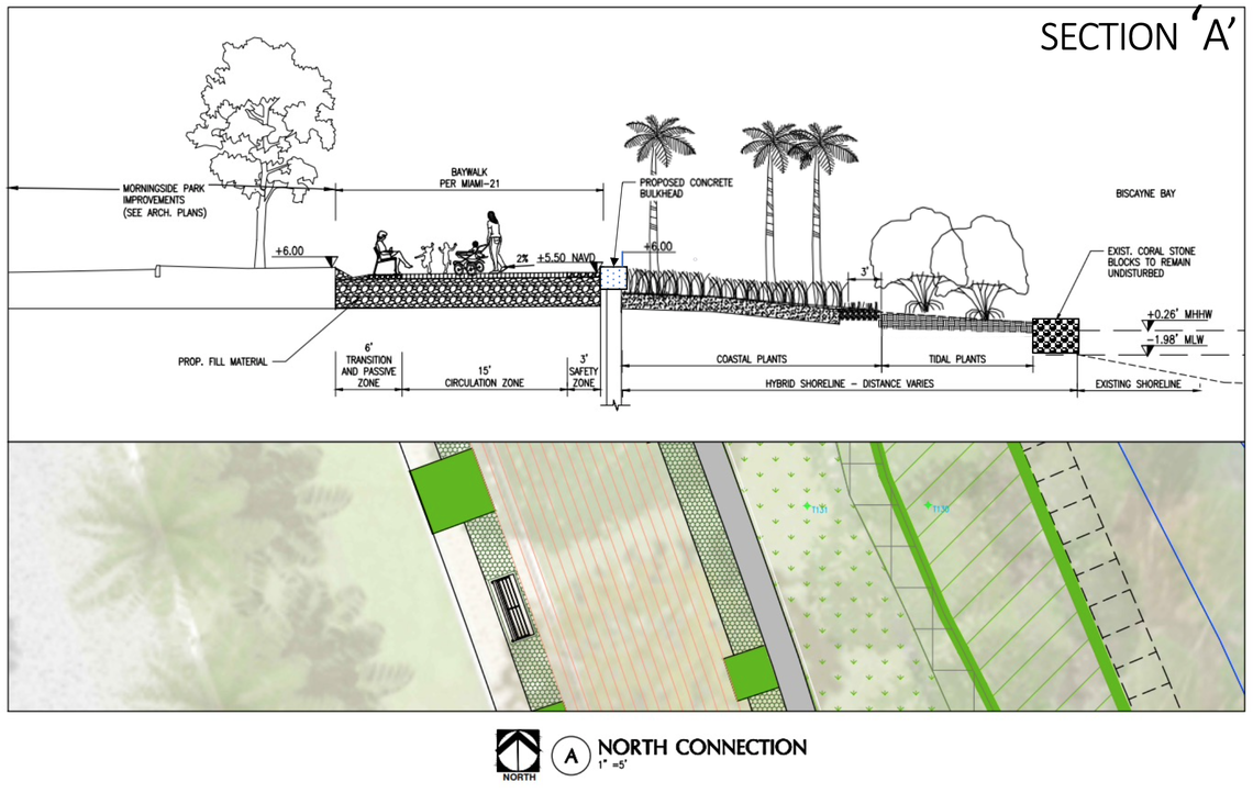 The rejected plan for the redesign of Miami’s Morningside park includes a 6-foot-tall seawall, a walking path and a landscaped shoreline with native plants, including mangroves. The accepted version of the plan doesn’t have mangroves anymore after some residents complained.
