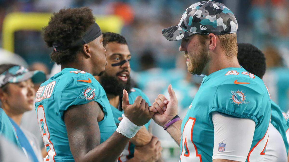 Miami Dolphins safety Jevon Holland (8) and long snapper Blake Ferguson (44) greet each other on the sideline during game against the Las Vegas Raiders at Hard Rock Stadium in Miami Gardens on Saturday, August 20, 2022.
