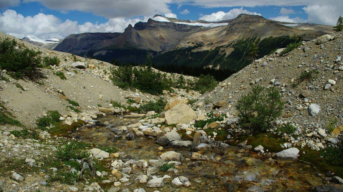 Yoho National Park in the Canadian Rockies holds evidence of prehistoric ocean life, including a new species.