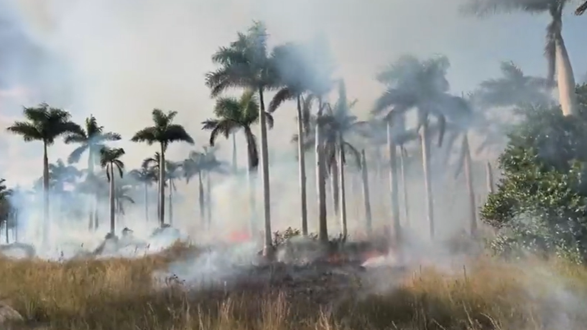 Smoke and fire burn brush Monday, Nov. 24, 2025, off the Dolphin Expressway near Northwest 137th Avenue.
