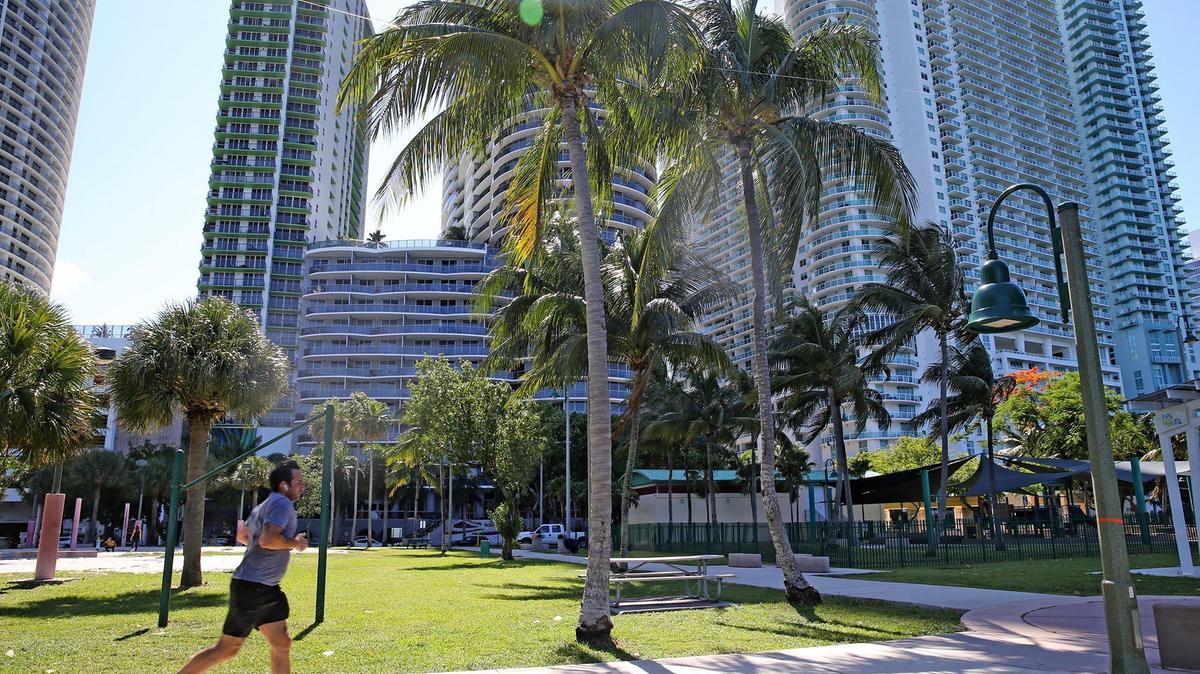 A runner along the waterfront in the Edgewater neighborhood, in Miami, Florida, June 11, 2020.