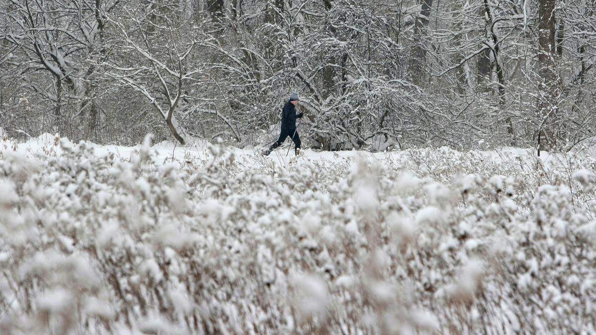 Chuck O’Malley, 47, cross country skis on a trail Friday, Jan. 8, 2010, in Moreland Hills, Ohio.