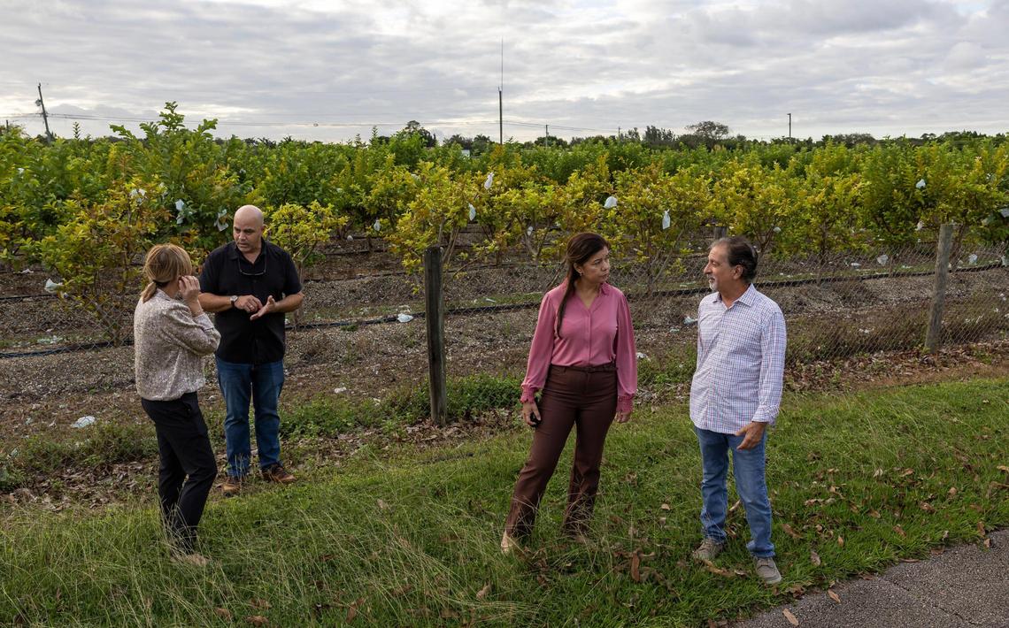 From left to right: Neighbors Indiana Gonzalez, Karel Alvarez, Margarita Valencia and Matthew Rendini stand in front of a farm in the Redlands on Nov. 12, 2024, in Miami, Fla. This proposed site for a Muslim cemetery has drawn opposition from nearby neighbors, who are concerned about its proximity to their homes.