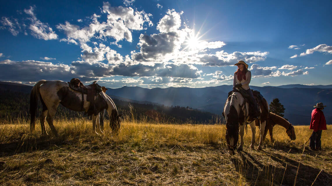 Writer Eric Barton takes us on an adventure to a place where cattle, and Floridians, roam