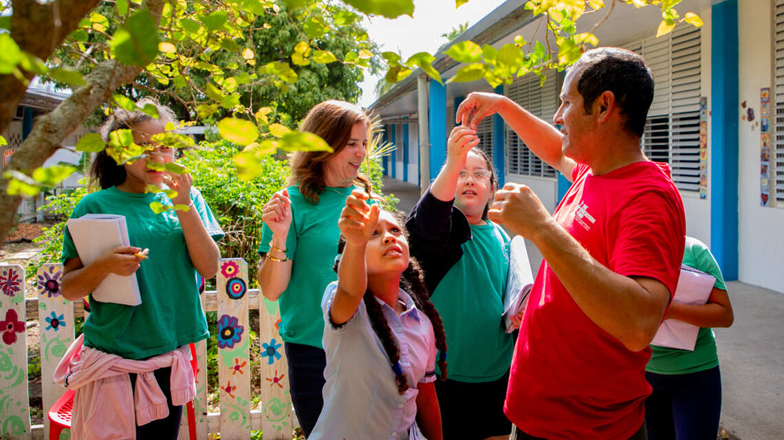‘Bosques de alimentos’ ofrecen lecciones de vida y sombra fresca en escuelas de Miami-Dade