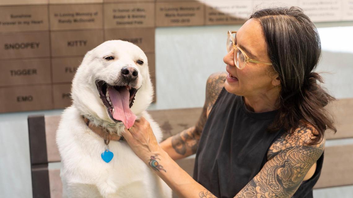 Left behind: These pets ended up in shelters, thanks to South Florida’s housing crisis | Opinion