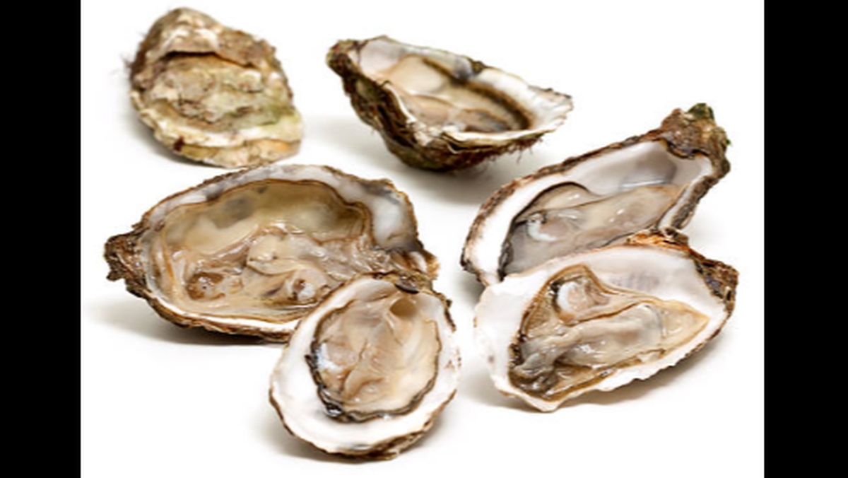 Walmart and Publix are two of the chains hit by the recall of oysters from an area east of Lake Borgne and north of Eloi Bay.