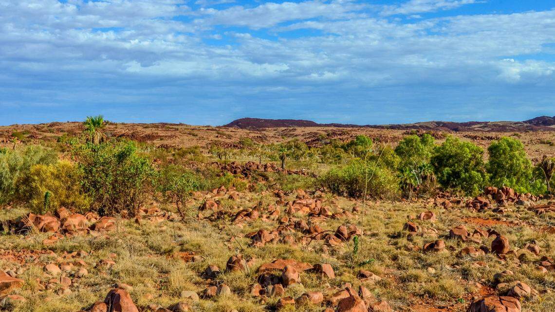 Researchers identified two new species of burrowing scorpion from Western Australia, according to a new study. This photo of the Pilbara region is representative of their habitat.