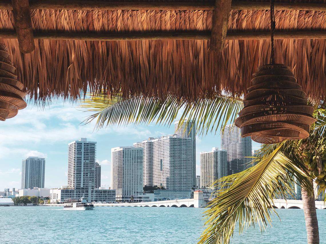 Views of the water and the city are the key selling points of the Joia Beach restaurant and beach club on Watson Island, next to Jungle Island.