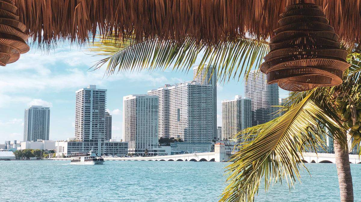 Views of the water and the city are the key selling points of the new Joia Beach restaurant and beach club on Watson Island, next to Jungle Island.