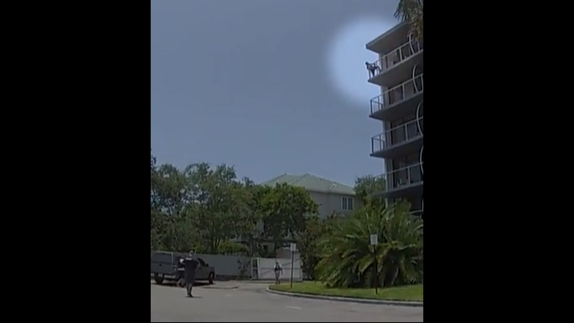 Acrobatic robbery suspect began jumping from hotel balconies in dramatic attempt to escape deputies at his door, Florida video shows.