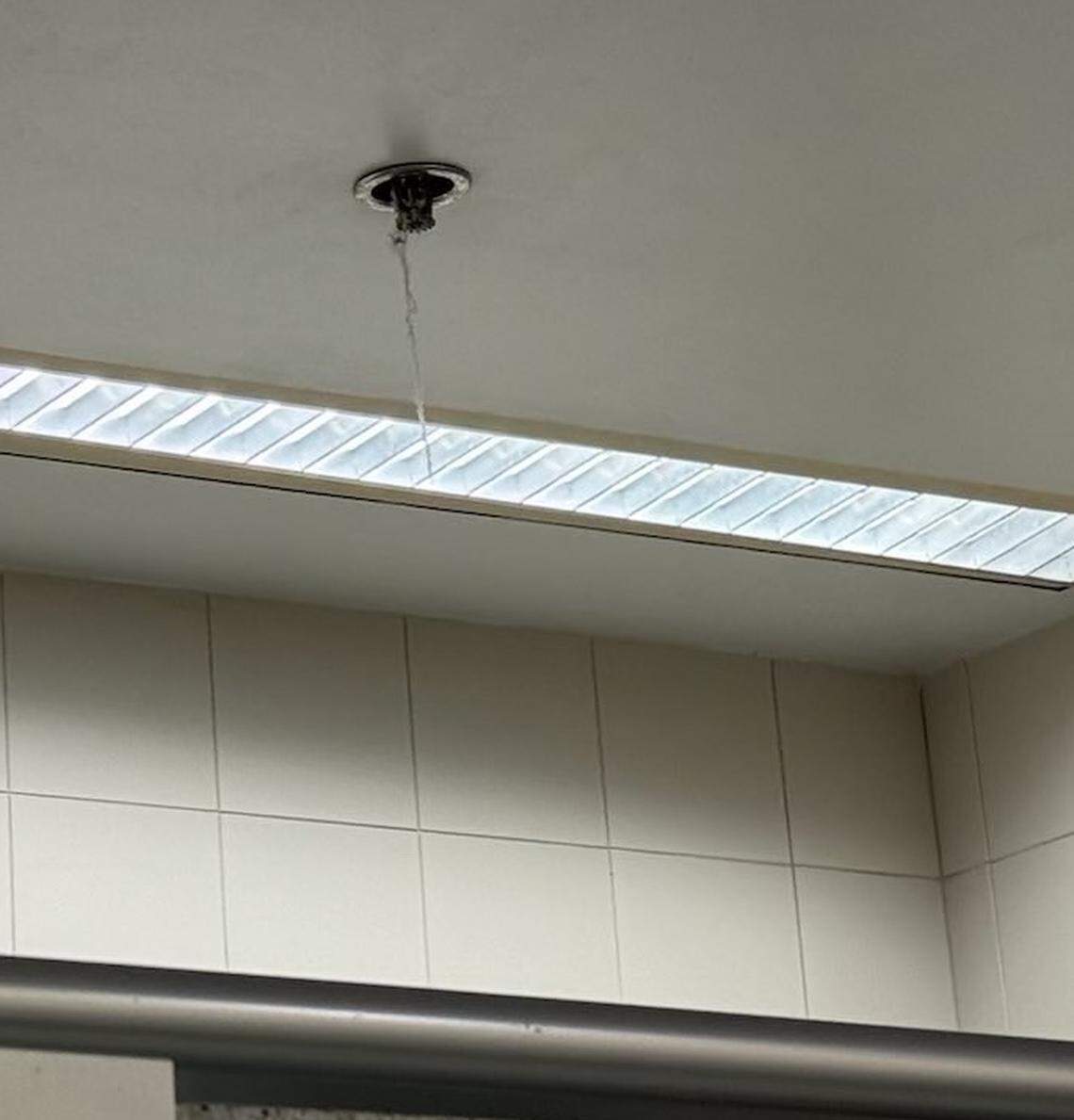 Dust hangs from a sprinkler head in a bathroom at Miami International Airport in this photo provided by Miami-Dade Commissioner Kevin Cabrera, who cited the dust string in pushing to oust the airport’s current cleaning company during a committee hearing on Wednesday, Feb. 12, 2025.