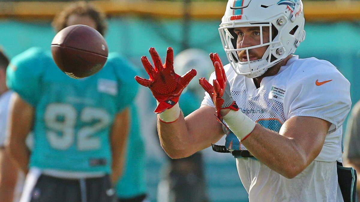 Miami Dolphins rookie tight end Durham Smythe during training camp on Tuesday. Smythe’s outstanding blocking at Notre Dame has translated to the NFL, Dolphins coach Adam Gase said.