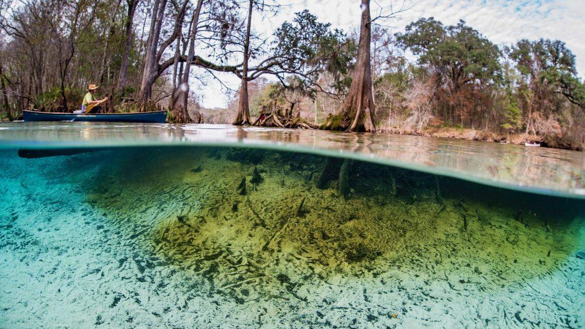 Nestlé wants Florida’s drinking water for free, leaving us high and dry | Opinion