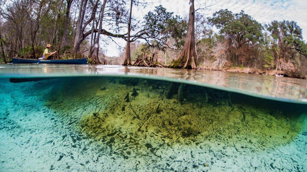 Seven Springs, which sells to Nestlé, wants to take 1.2 million gallons a day from the Santa Fe River, virtually for free.
