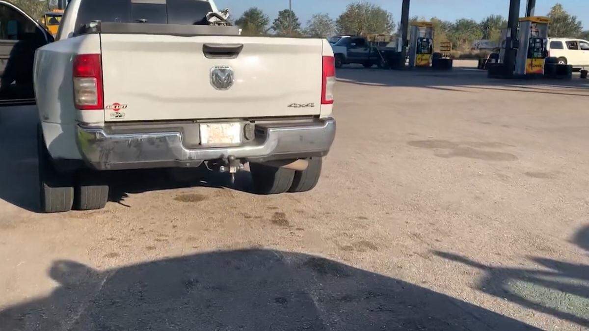 Deputies with the Lee County Sheriff’s Office found a gopher tortoise in a truck while investigating two Florida men stealing gasoline in North Fort Myers, Florida
