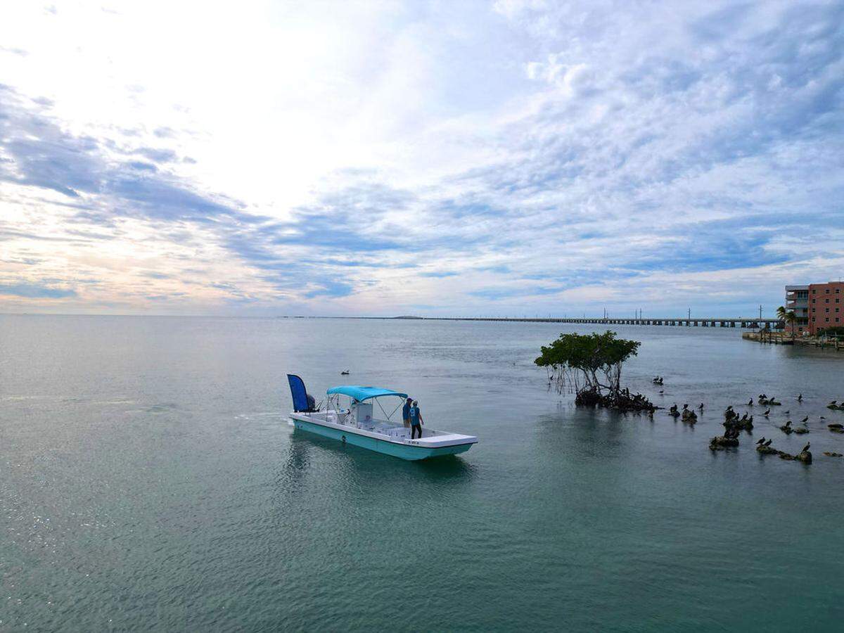 Give back to the Keys while participating in a cleanup excursion at Isla Bella Beach Resort.