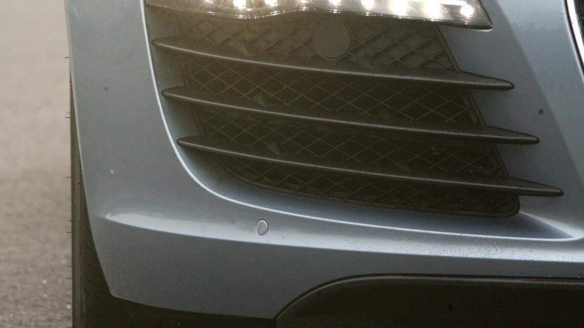 When workers looked inside a car’s grille, something terrified and stained with blood looked back at them.