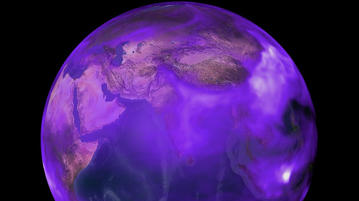 Purple may have been the first color of life on Earth because early organisms absorbed the sun’s energy using the molecule retinal instead of Chlorophyll, important for photosynthesis and a giving greenish hue.