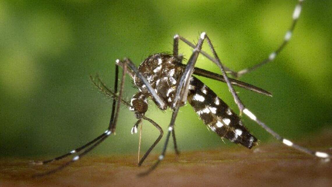 Kansas health officials issue ‘high-risk’ West Nile virus warning with 3 deaths in 2023