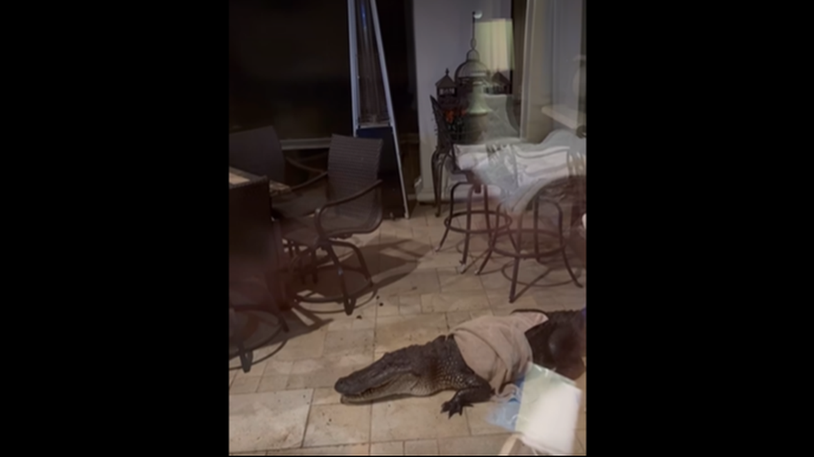 The break-in happened around 10 p.m. on Wednesday, March 26, at the Waterfront East subdivision Maurepas, according to the Livingston Parish Sheriff’s Office in Louisiana.