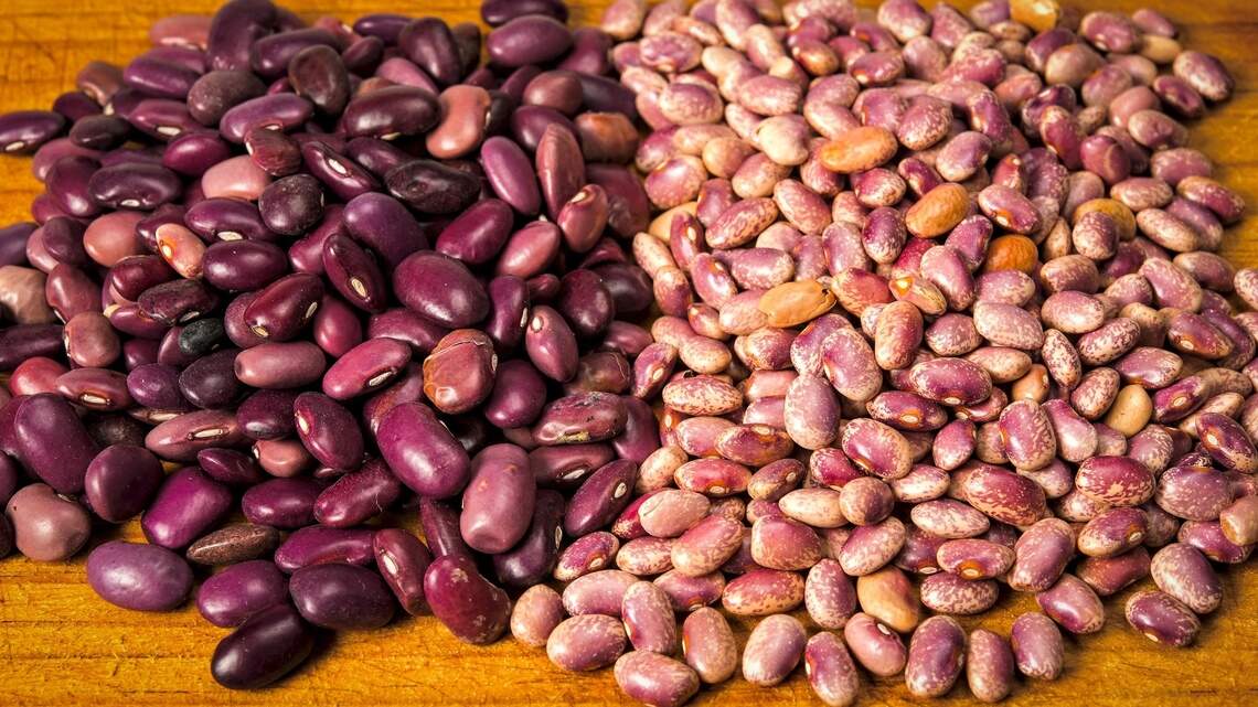 Why nutrition experts increasingly point to beans as the cheapest longevity food hiding in plain sight