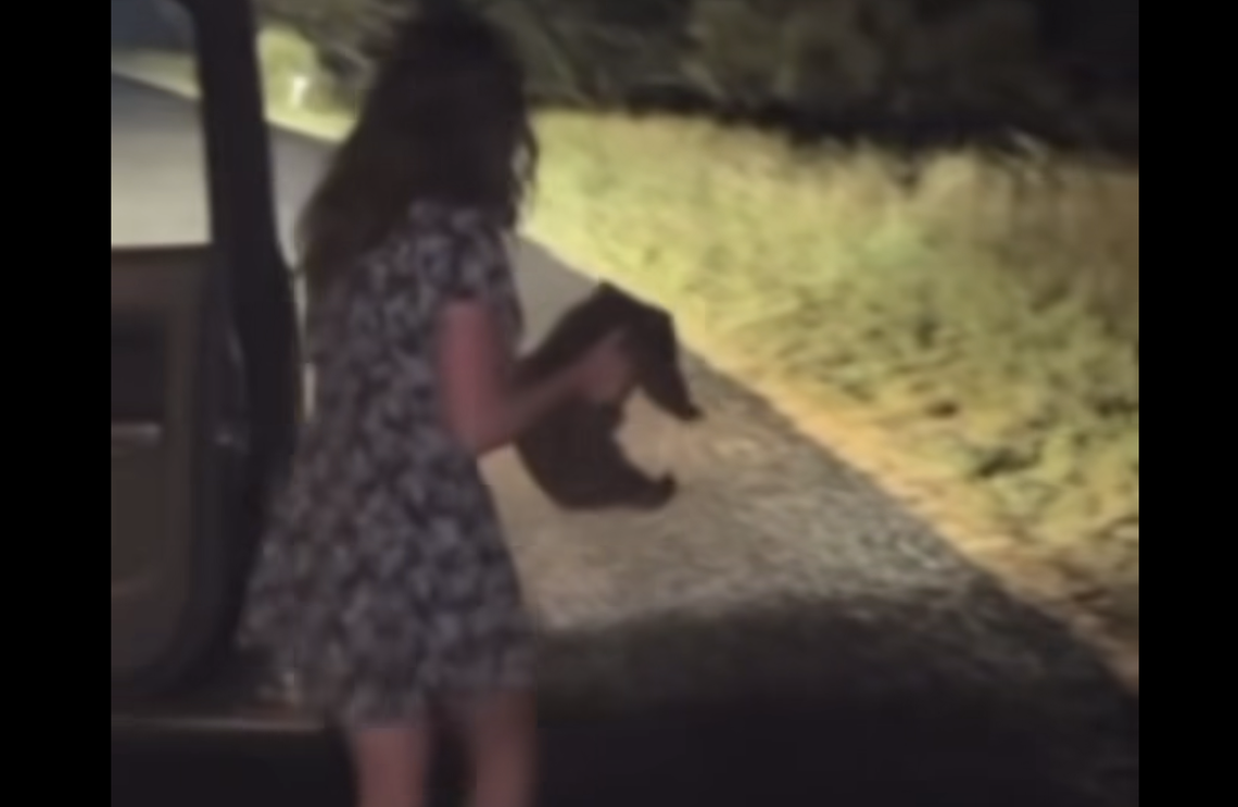 The video shows Jones putting the wombat back on the ground but doesn’t show a reunion with its mother.