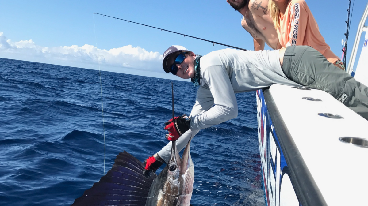 Capt. Skip Dana prepares to release a sailfish caught by Glenn Sapir.