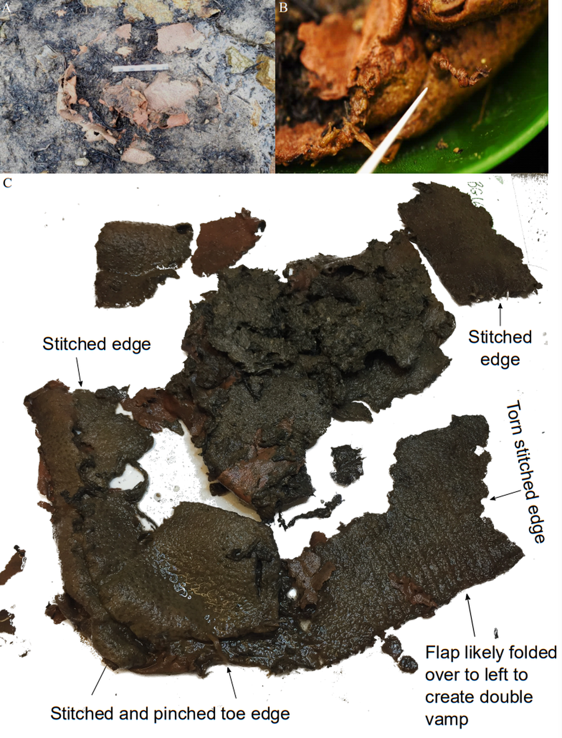 The 6,200-year-old stitched animal hide as it looked in the melting ice (A) and after unfolding (C). A close-up photo (B) shows the knotted sinew and a stitch.