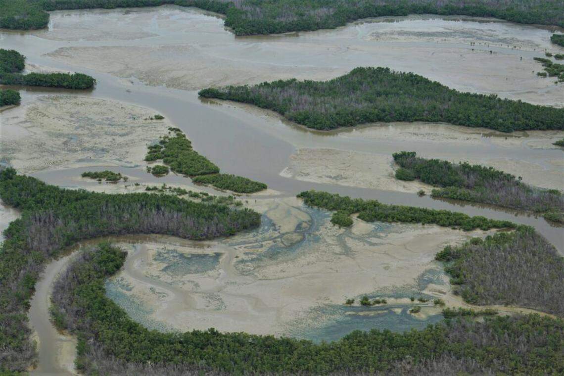 Marjory Stoneman Douglas Wilderness in Everglades National Park.