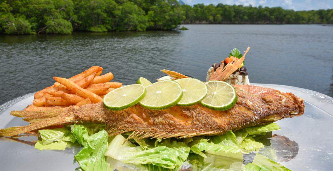 Whole snapper entree at the Blue Marlin Fish House.