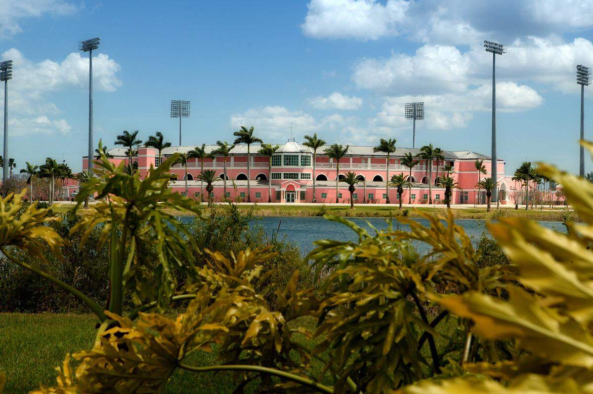 Once intended for MLB spring training, the so-called "Pink Elephant," the Homestead Sports Complex, has been empty for most of the last 20 years.
