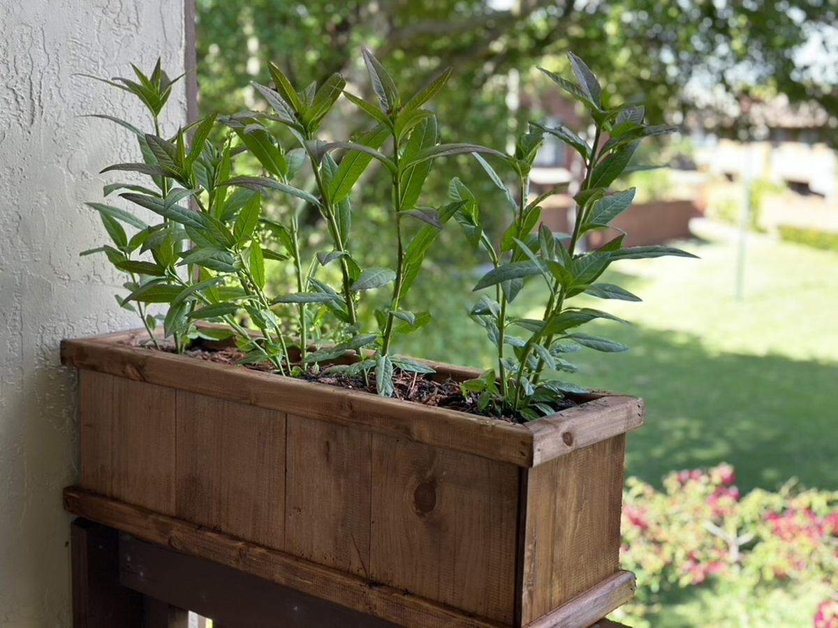 A planter on your balcony railing can be such a pretty addition to a home. It can also become a missile in a hurricane. Take it inside when you hear of alerts from your weather service or the hurricane center.