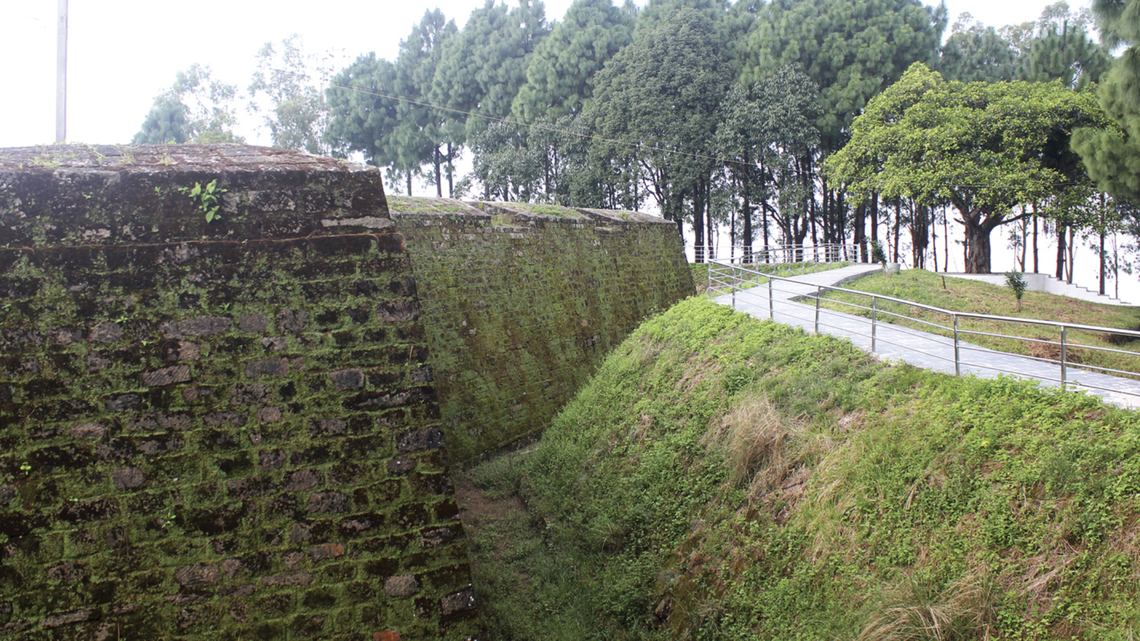 New species of gecko were found on the walls of 16th-century forts in Nepal.