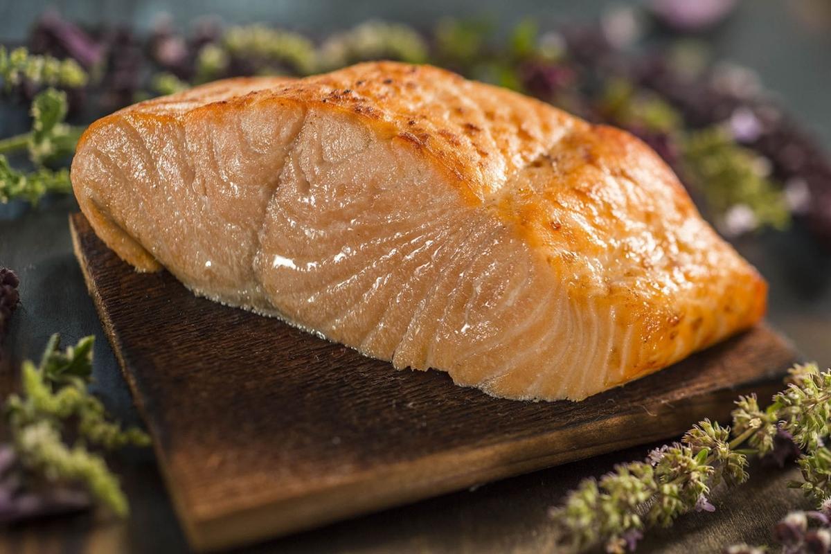 Salmon