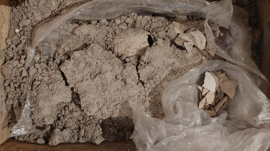 A fossilized flamingo egg, dating back at least 8,000 years, was uncovered during the construction of an airport in Mexico, officials said.