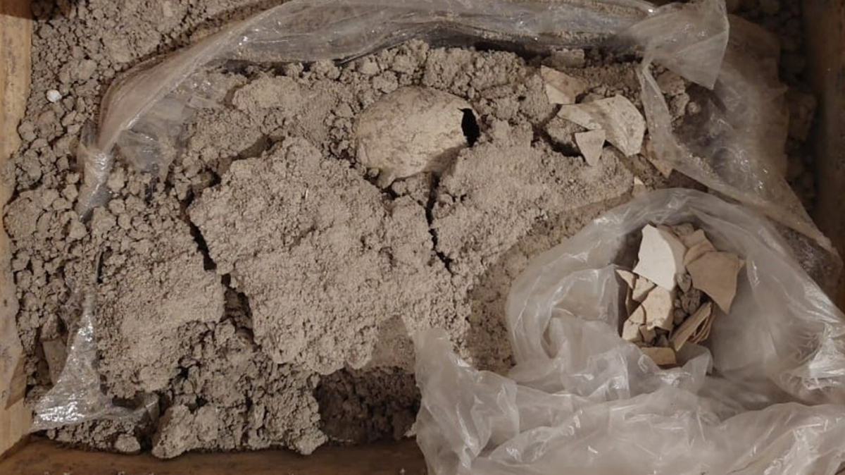 A fossilized flamingo egg, dating back at least 8,000 years, was uncovered during the construction of an airport in Mexico, officials said.