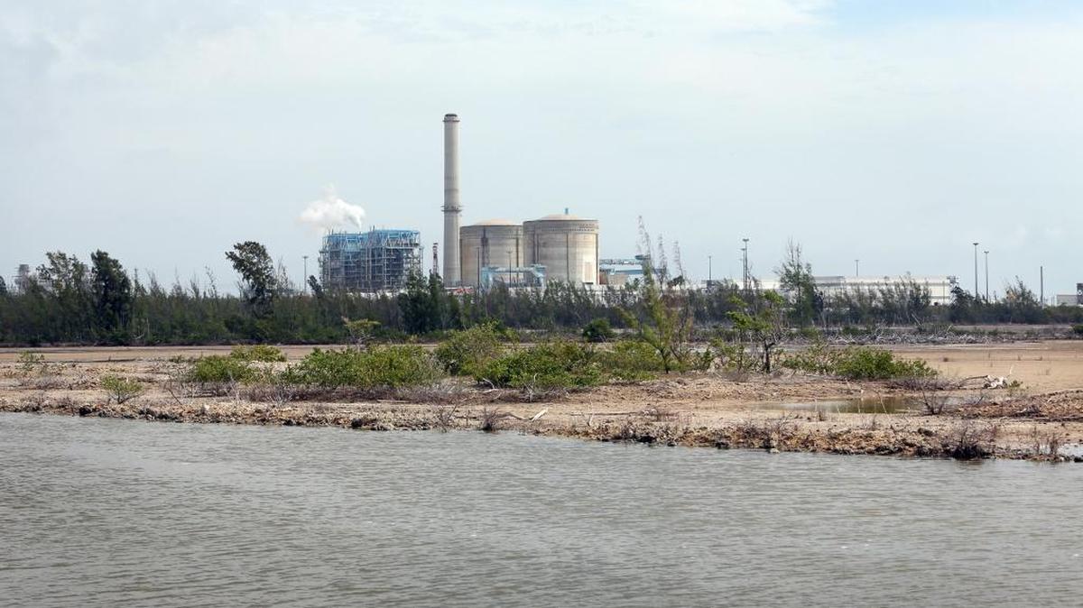 FPL calcula que la limpieza de su sistema de canales de refrigeración en la central nuclear de Turkey Point podría costar $50 millones este año.