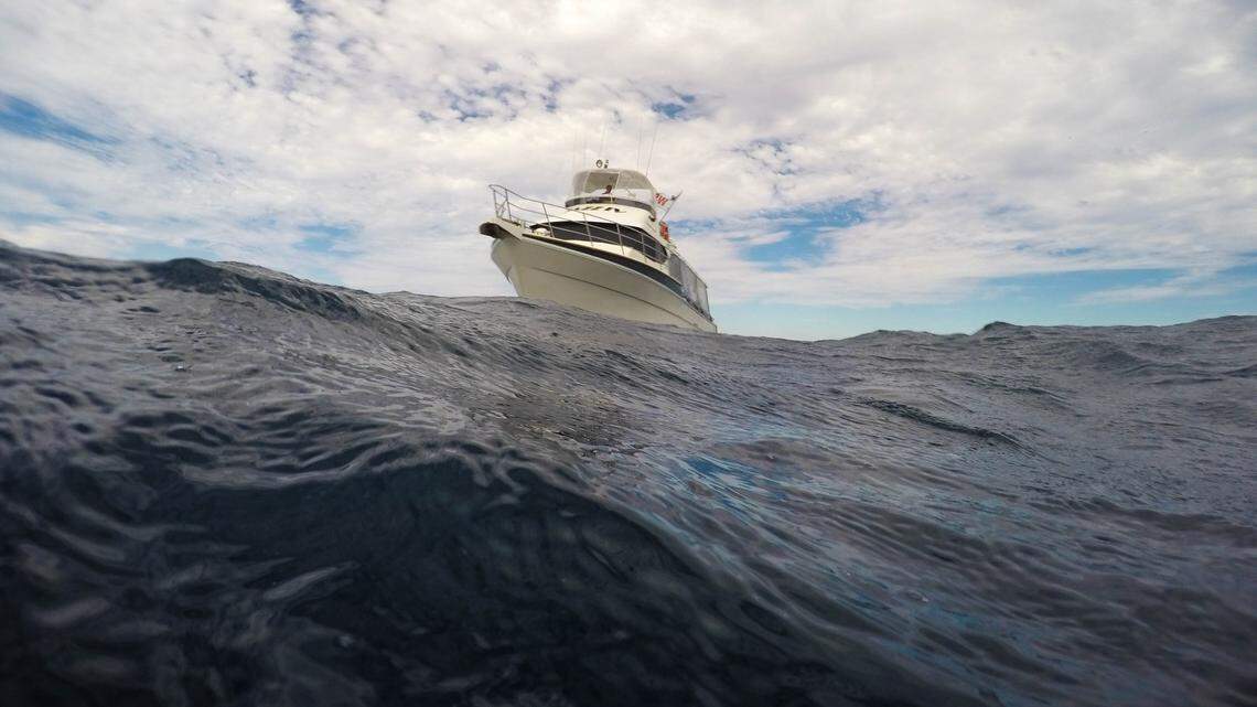 Scientists found a small sea animal lurking off the northern coast of Australia and discovered a new species, the study said. This photo shows a representative boat near Exmouth.