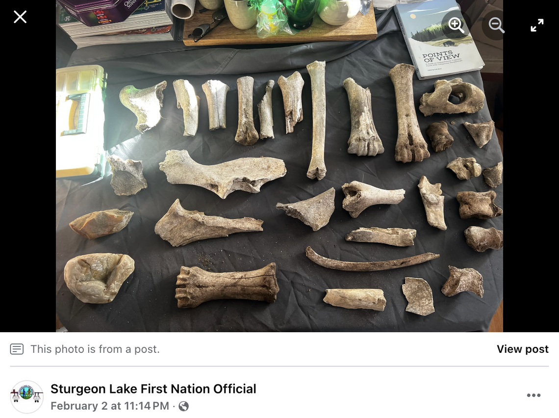 Bison bones, tools and fire pits suggest the site was a long-term settlement and not just a camp, researchers said.