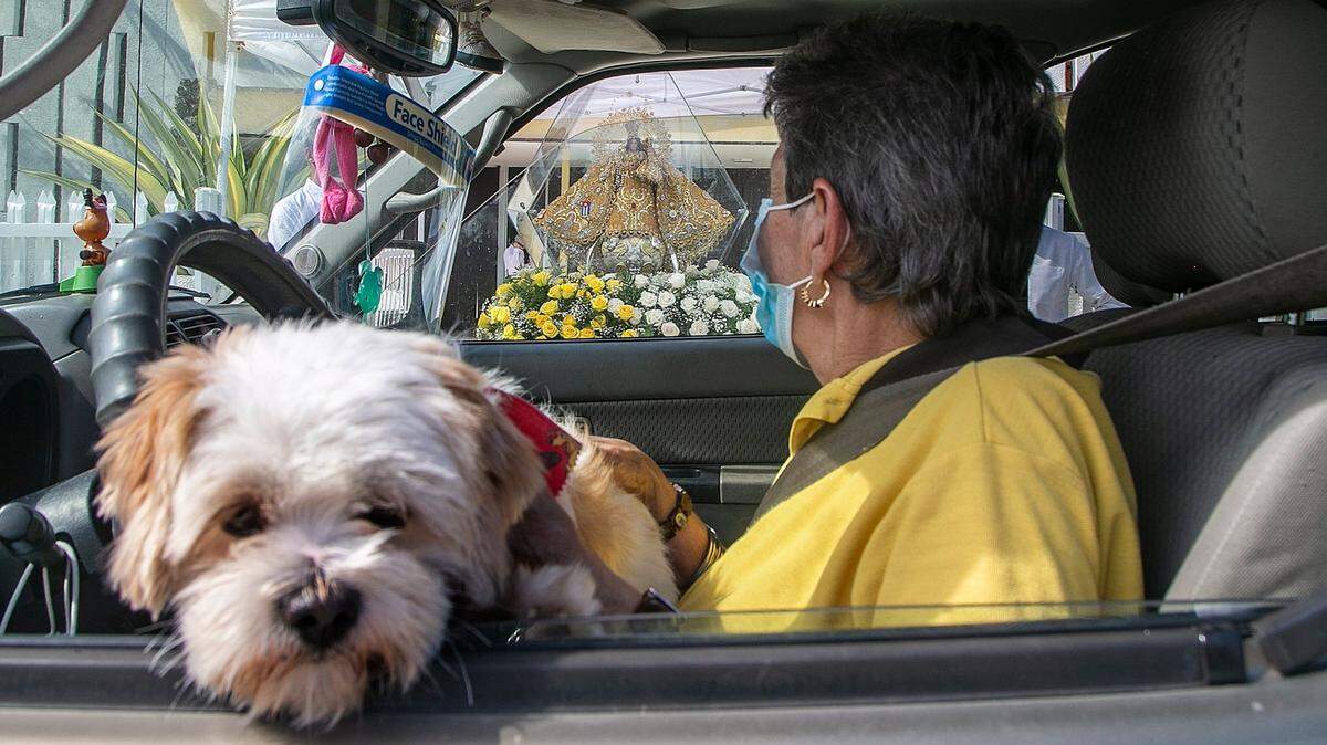 Can your dog roam in car while you drive? Do cats need restraint? What Florida law says