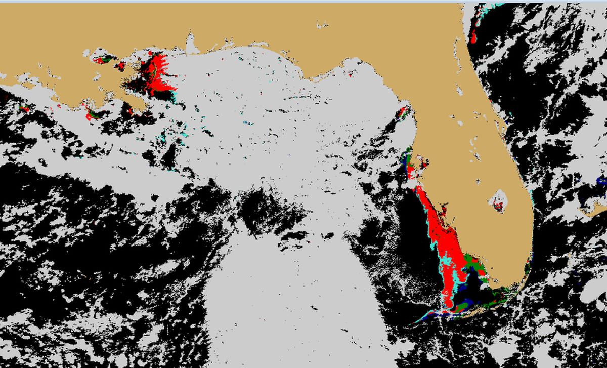 This satellite image taken Aug. 21 shows the extent of red tide in the Gulf of Mexico, which National Ocean and Atmospheric Administration scientist Rick Stumpf said Wednesday has changed little in the last week. Source: NOAA National Centers for Coastal Ocean Science
