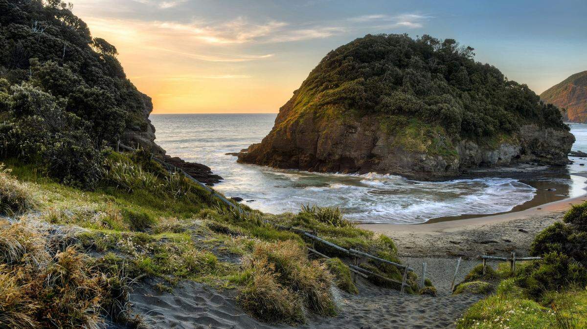 On the north island of New Zealand, a rare bird had an exciting breeding season.