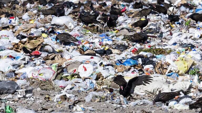 Miami-Dade aims to double recycling as landfill nears capacity. Here’s the plan