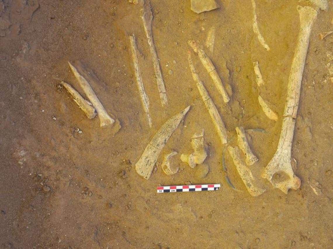 Bones and bone tools partially buried in a grave.