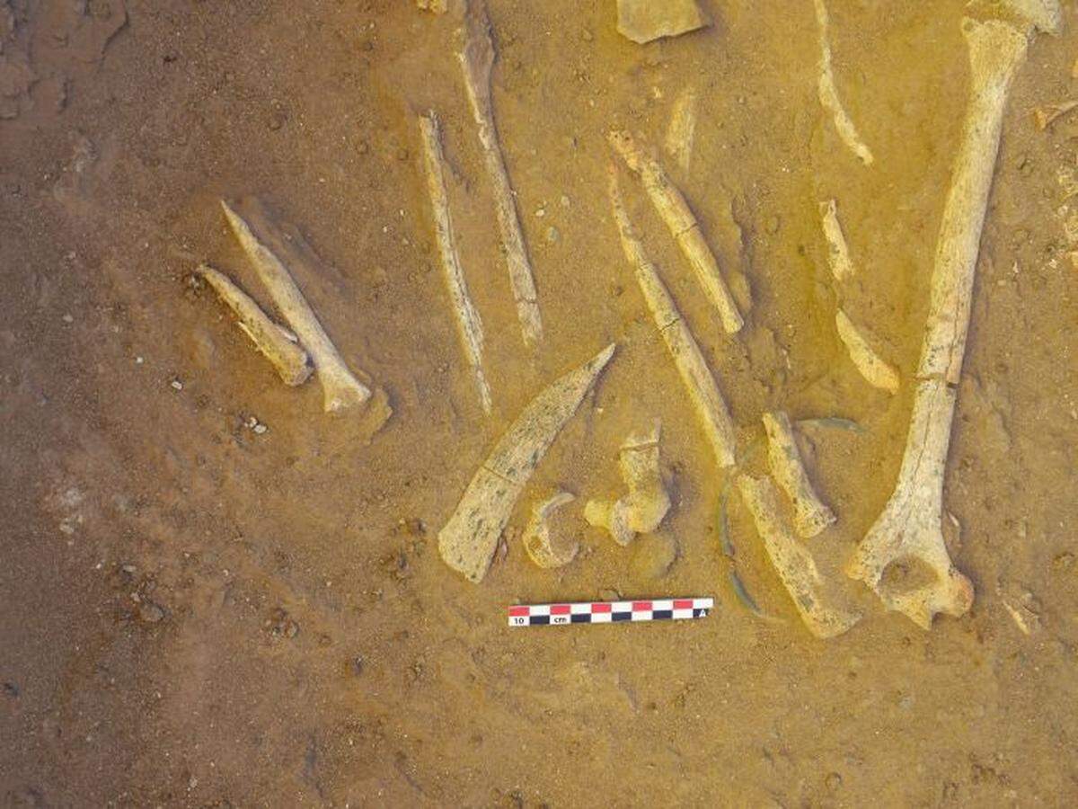 Bones and bone tools partially buried in a grave.